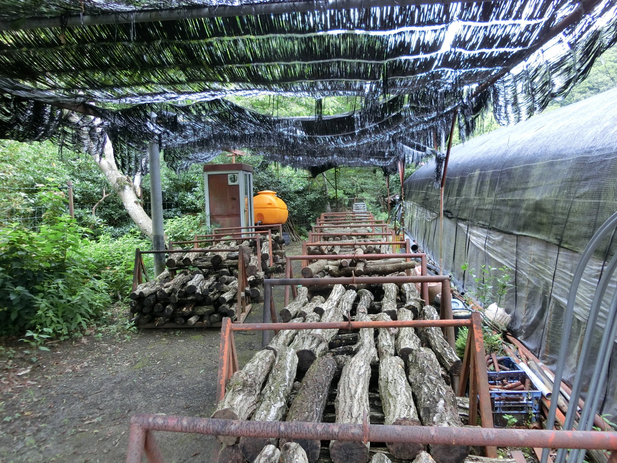 20210710_龍谷大学FW